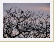 2005-11-05 17-07-17 Novembre 199,9mm 1_182_eme F3,5 * 2560 x 1920 * (2.66MB)